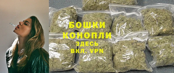 соль ск Няндома