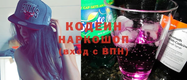 соль ск Няндома
