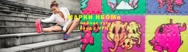 соль ск Няндома