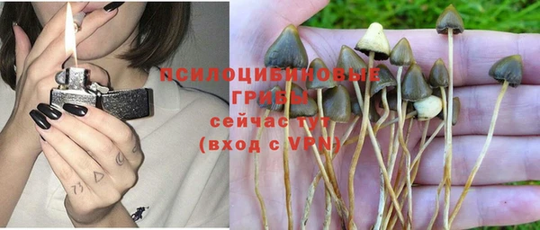 молекула духа Нягань