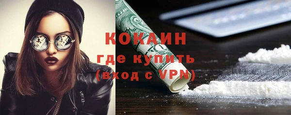 молекула духа Нягань
