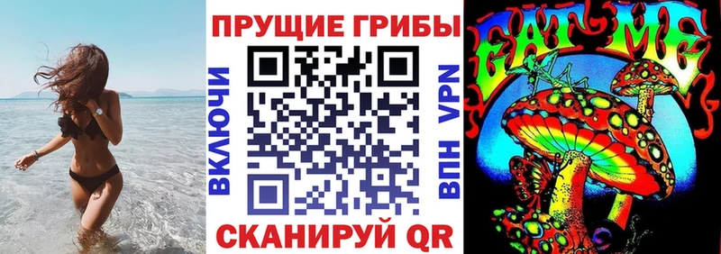 мориарти как зайти  Свирск  Псилоцибиновые грибы Psilocybine cubensis  где найти  